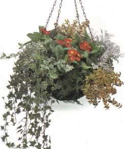hanging color basket