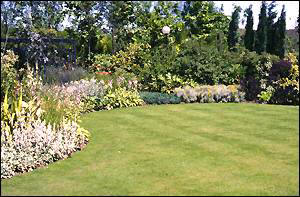 lawn